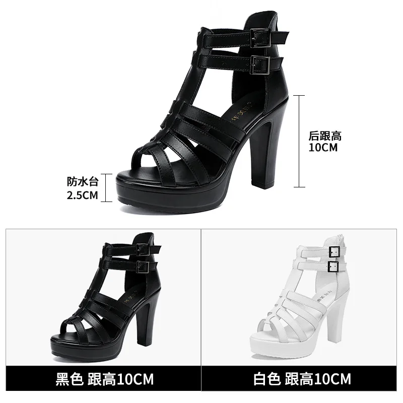 Gladiator Ladies Shoe for Wome - Summer Clothing Collection ulasan dan harga