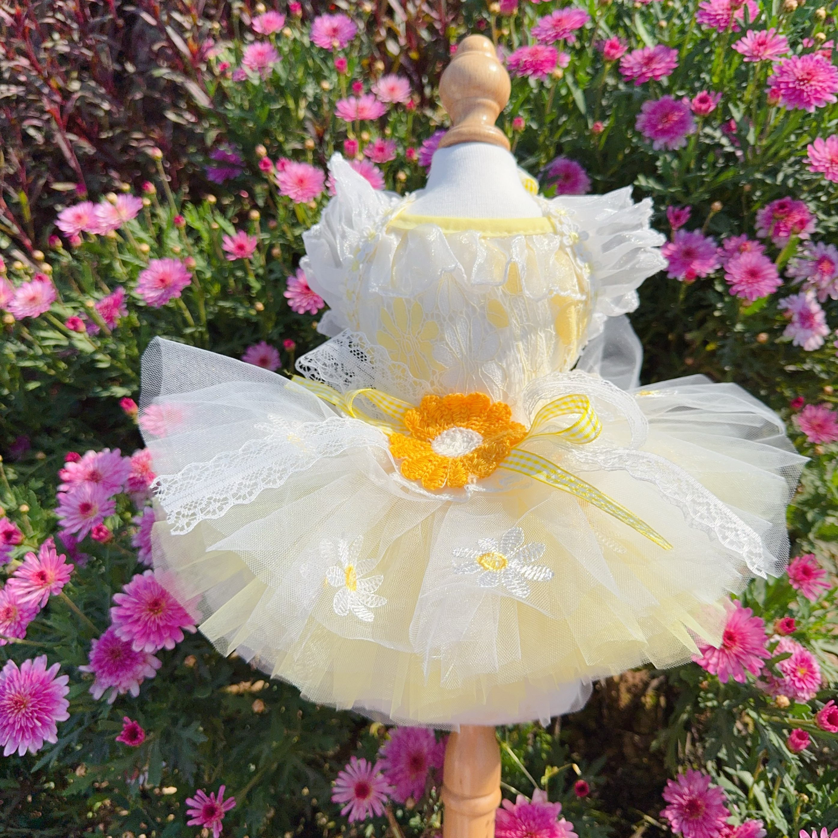 Summer Yellow Daisy Flower Pet - Soft Summer Yellow Clothing ulasan dan harga