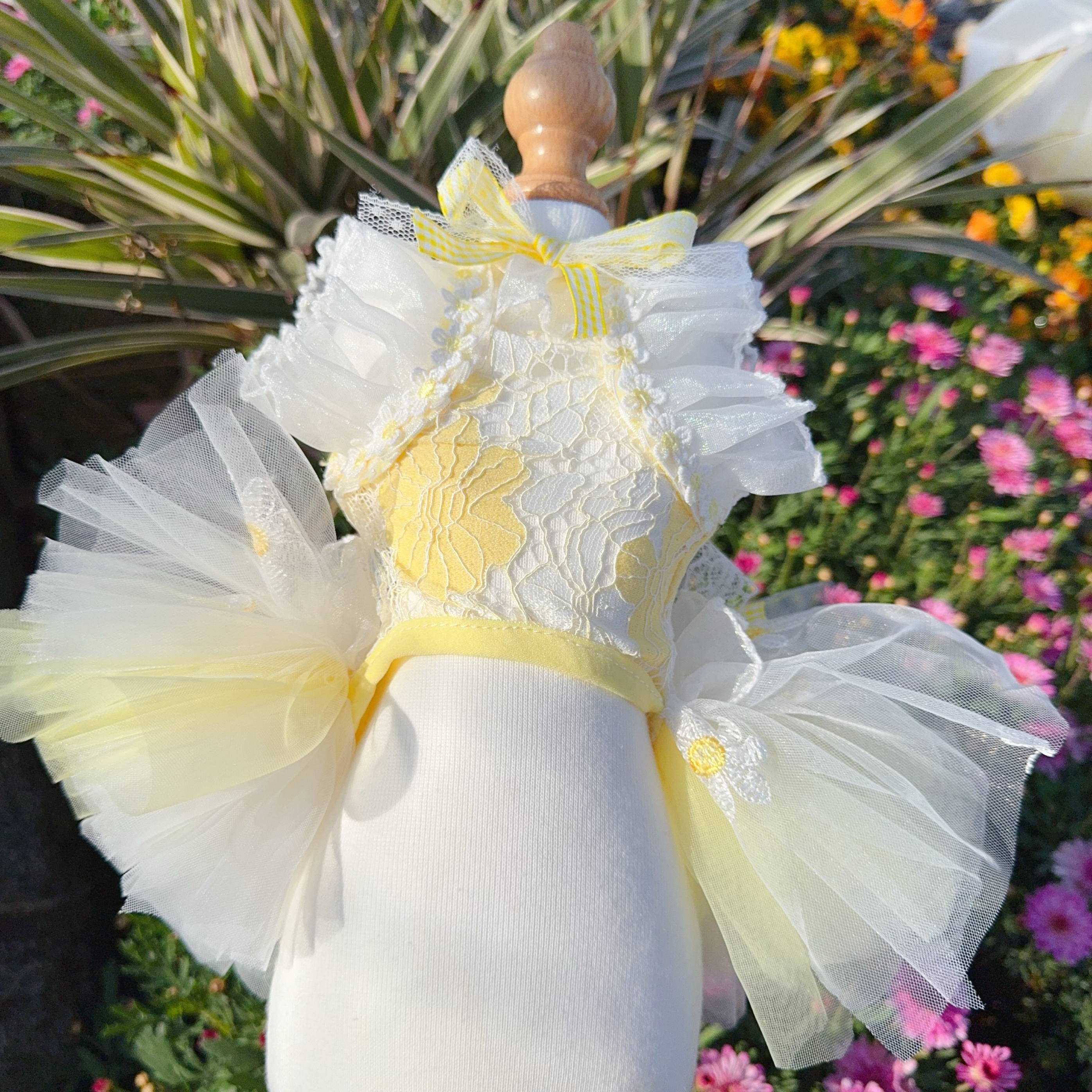 Summer Yellow Daisy Flower Pet - Soft Summer Yellow Clothing ulasan dan harga