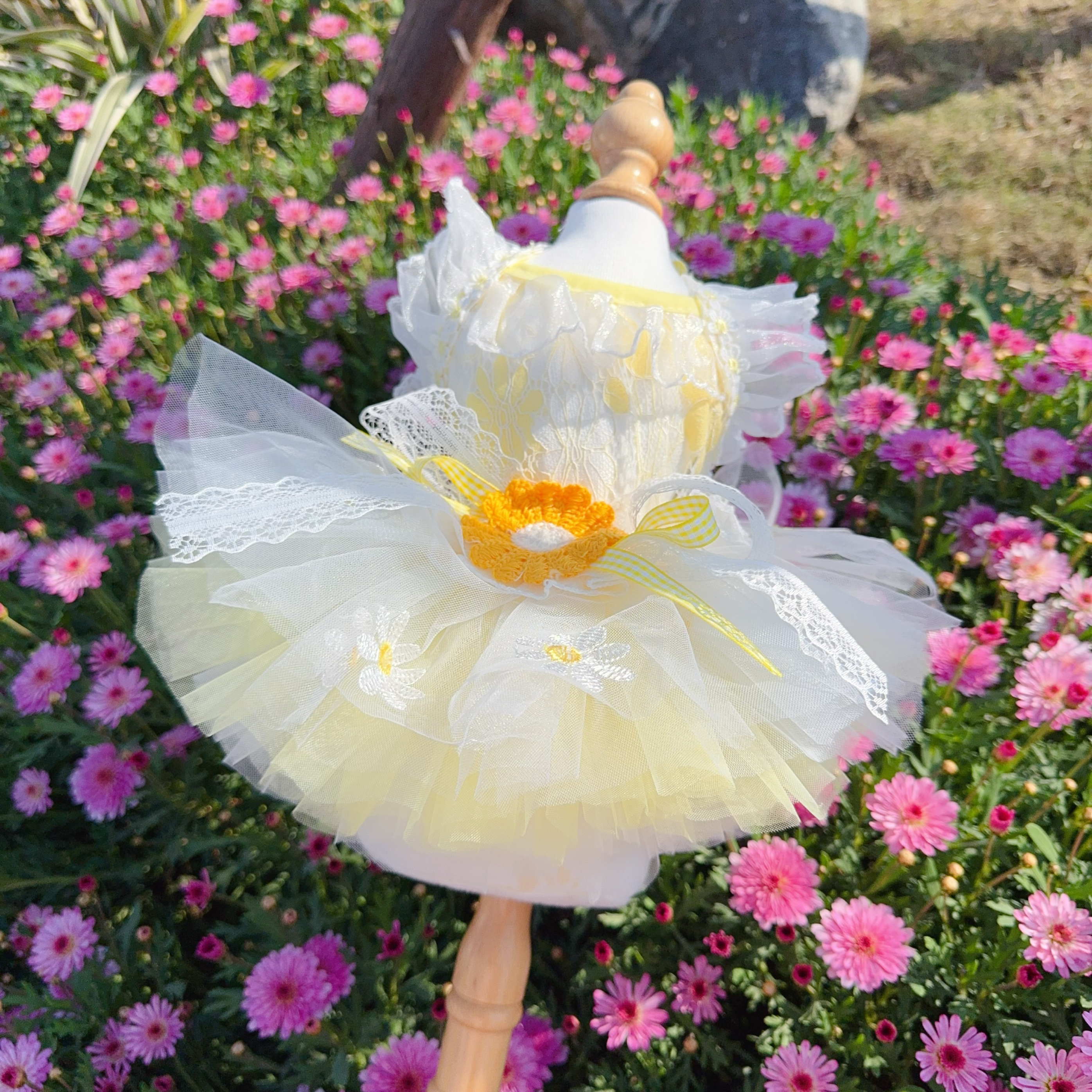 Summer Yellow Daisy Flower Pet - Soft Summer Yellow Clothing ulasan dan harga